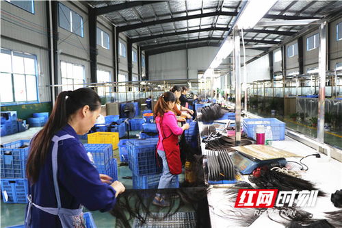 三湘情 建行心丨激活一個(gè)產(chǎn)業(yè) 帶富一方百姓