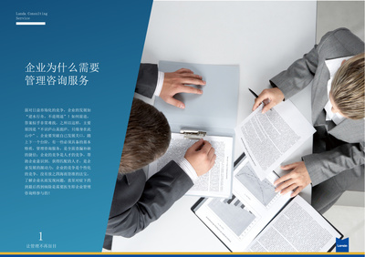 企業管理咨詢視覺形象設計 S6服務產品手冊的藝術呈現